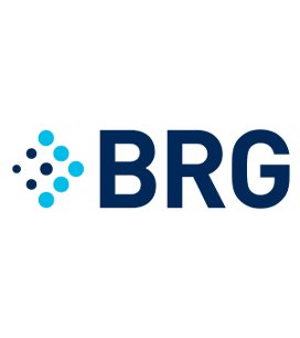 BRG Logo