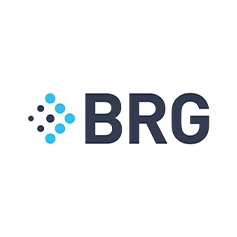 BRG Logo